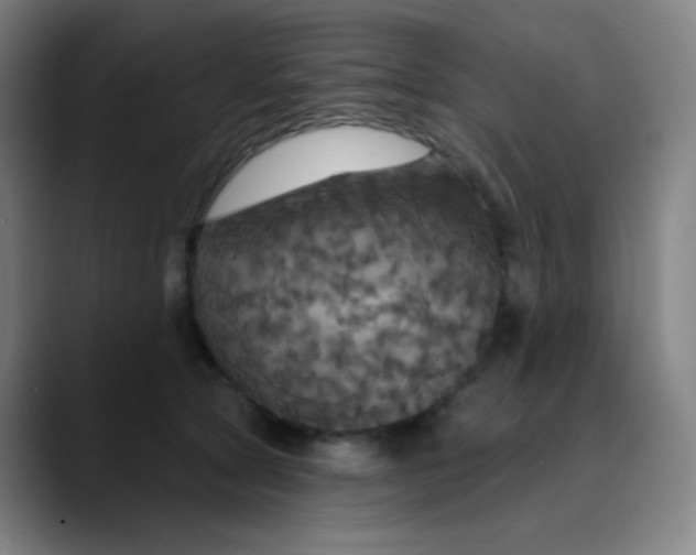 X0000089720561200707121433