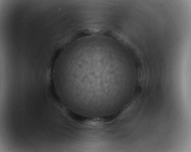 X0000089720563200707121433