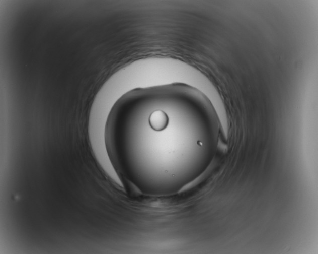 X0000089720564200707121433