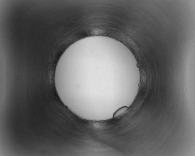 X0000089720565200707121433