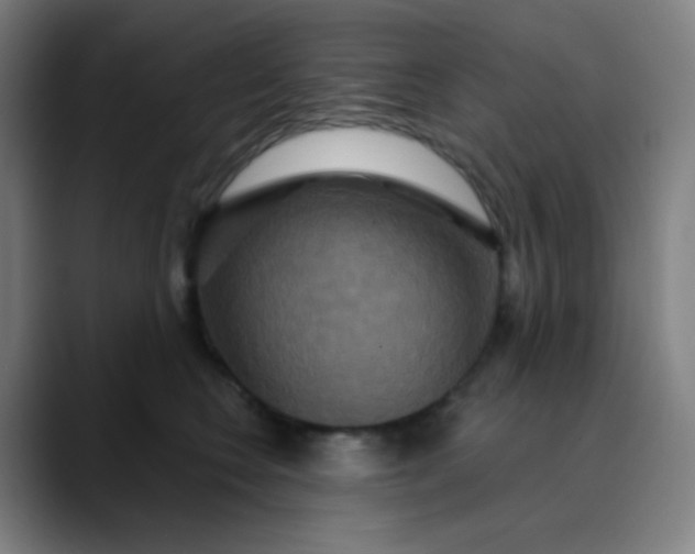 X0000089720566200707121433