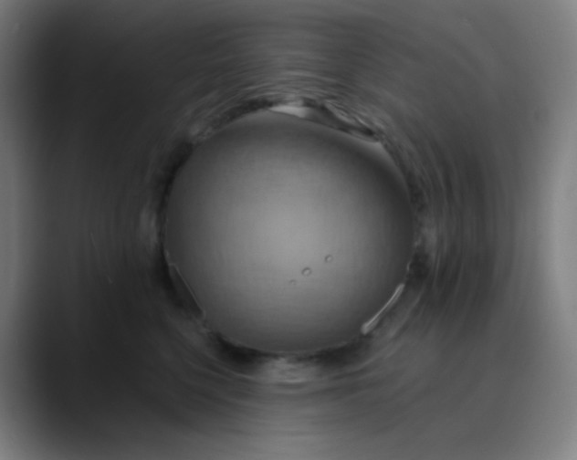 X0000089720568200707121433