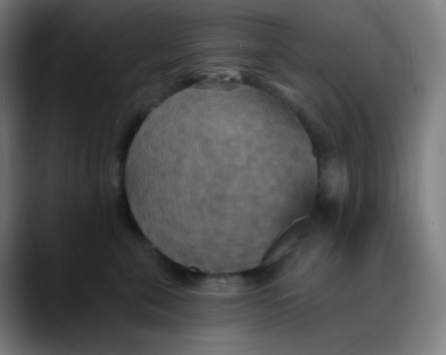 X0000089720571200707121433