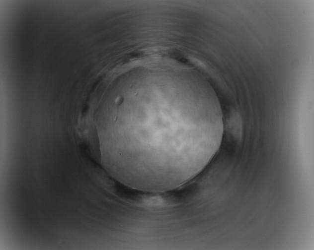 X0000089720572200707121433