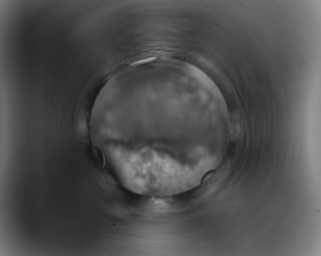 X0000089720573200707121433