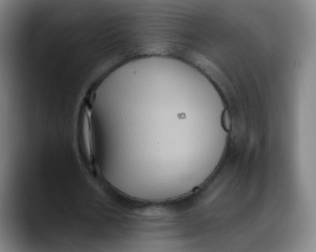 X0000089720578200707121432