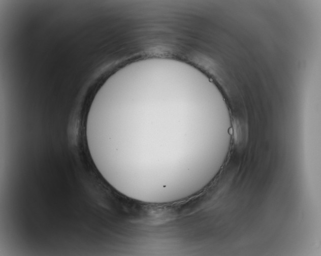 X0000089720579200707121432