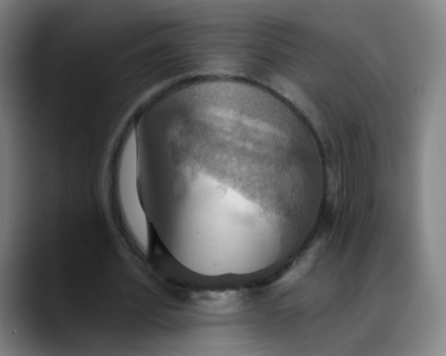 X0000089720580200707121432