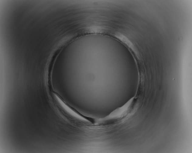 X0000089720581200707121432