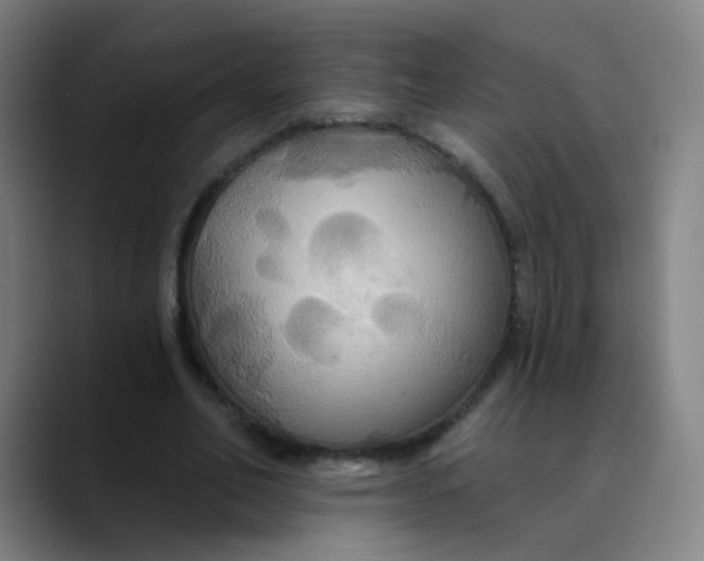 X0000089720582200707121432