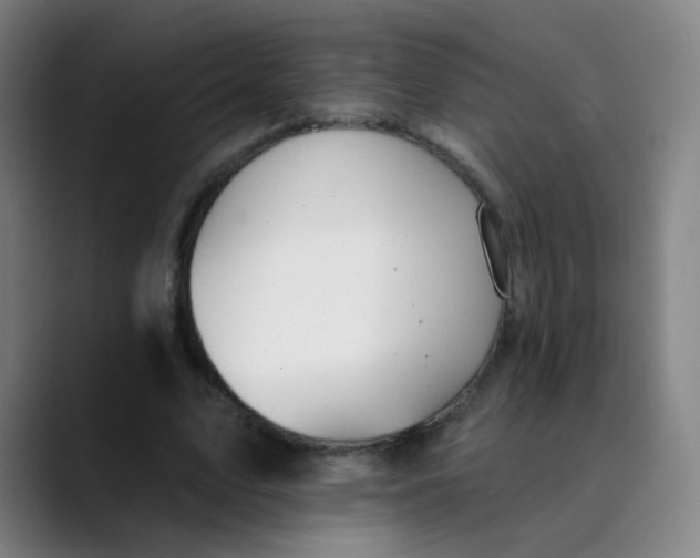 X0000089720583200707121432