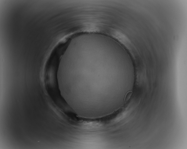 X0000089720584200707121432