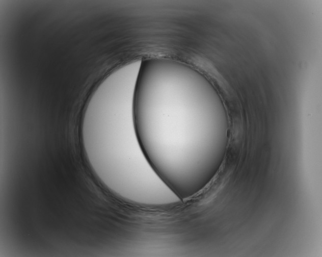 X0000089720585200707121432