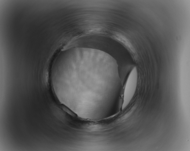 X0000089720589200707121432