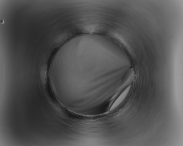 X0000089720590200707121432