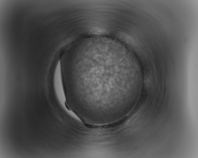 X0000089720591200707121432