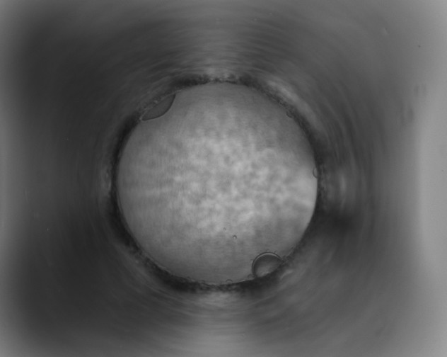 X0000089720593200707121432