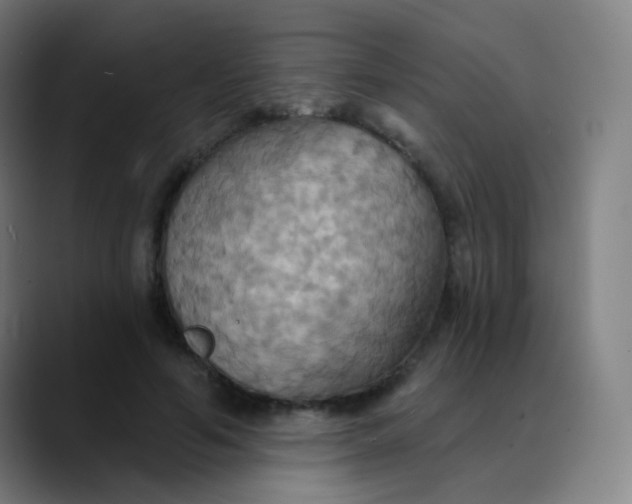 X0000089720594200707121432