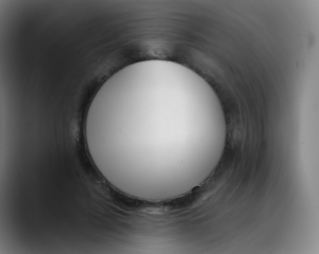 X0000089720595200707121432