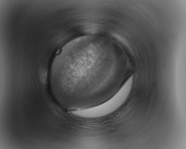 X0000089720596200707121432