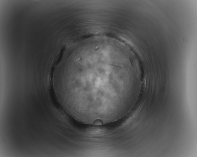 X0000089720597200707121432