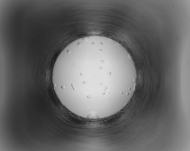 X0000089720598200707121432