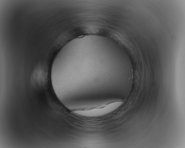 X0000089720600200707121432