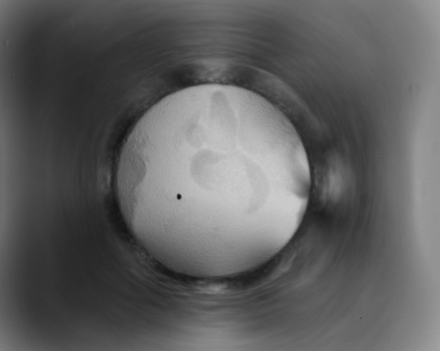 X0000089720602200707121432