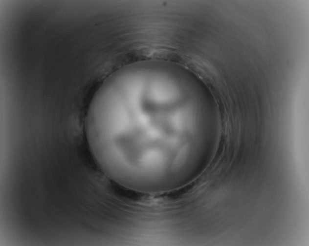 X0000089720607200707121432