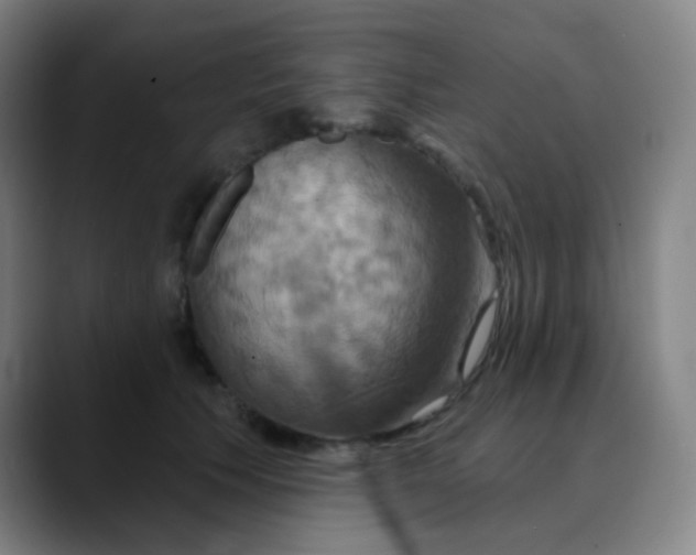 X0000089720609200707121432