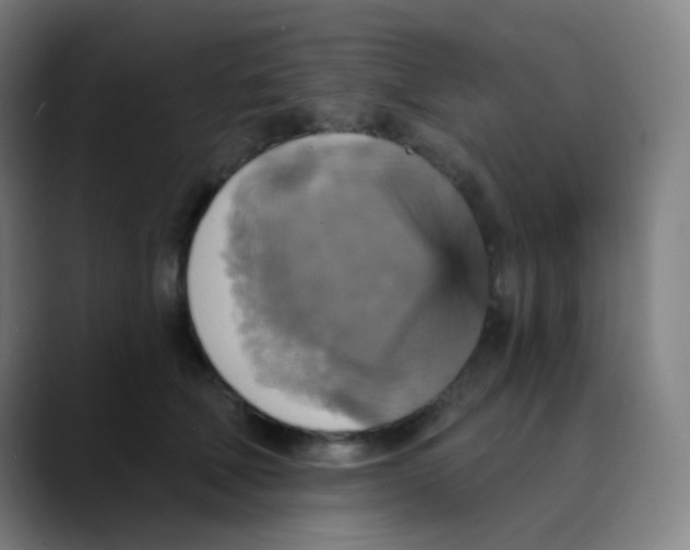 X0000089720610200707121432