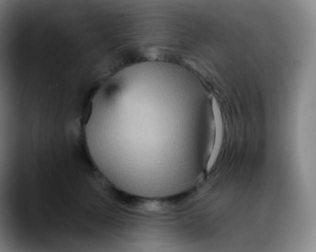 X0000089720611200707121432