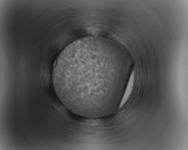 X0000089720615200707121432