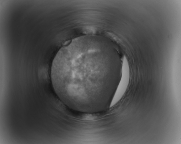 X0000089720616200707121432