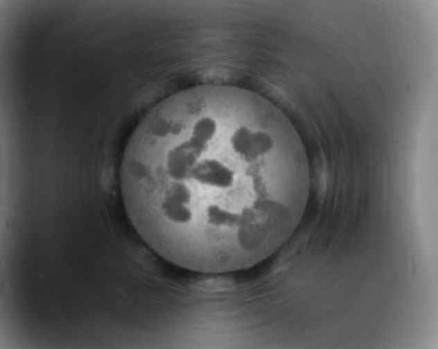 X0000089720619200707121432