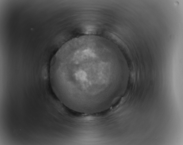 X0000089720620200707121432