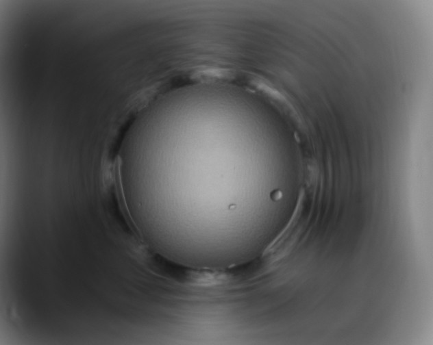 X0000089720621200707121432