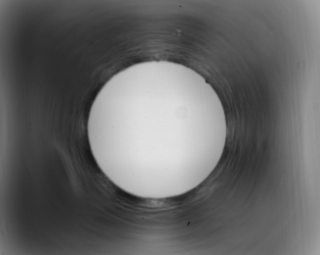 X0000089720623200707121432