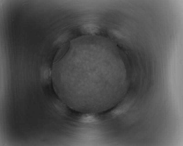 X0000089720624200707121432