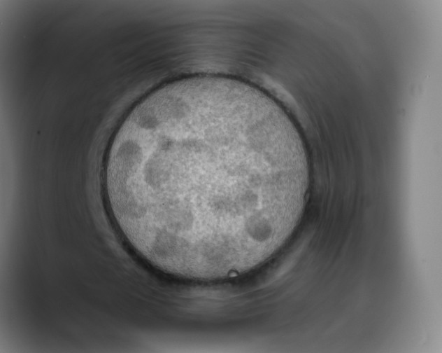 X0000089720625200707121431