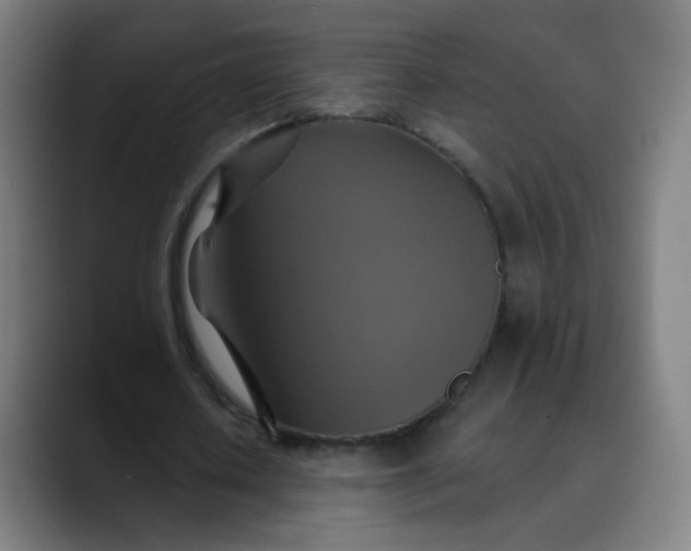 X0000089720626200707121431