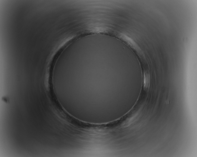 X0000089720627200707121431