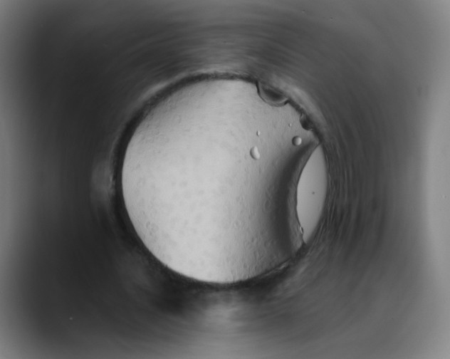 X0000089720628200707121431