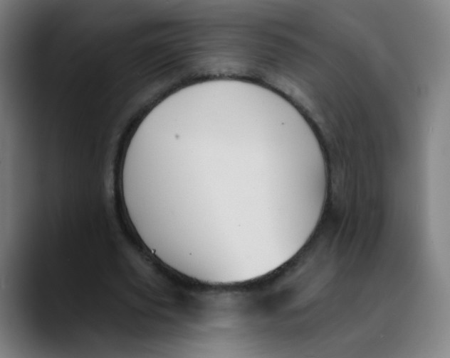 X0000089720629200707121431