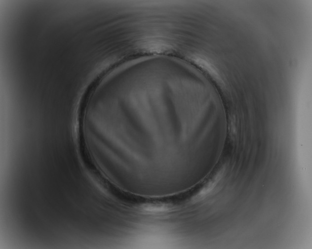 X0000089720630200707121431