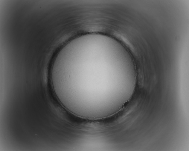 X0000089720631200707121431