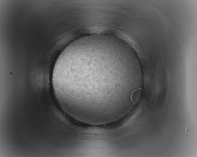 X0000089720633200707121431