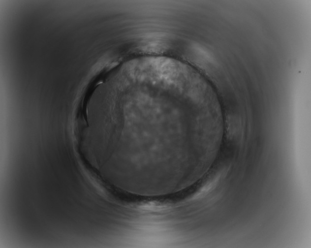 X0000089720634200707121431