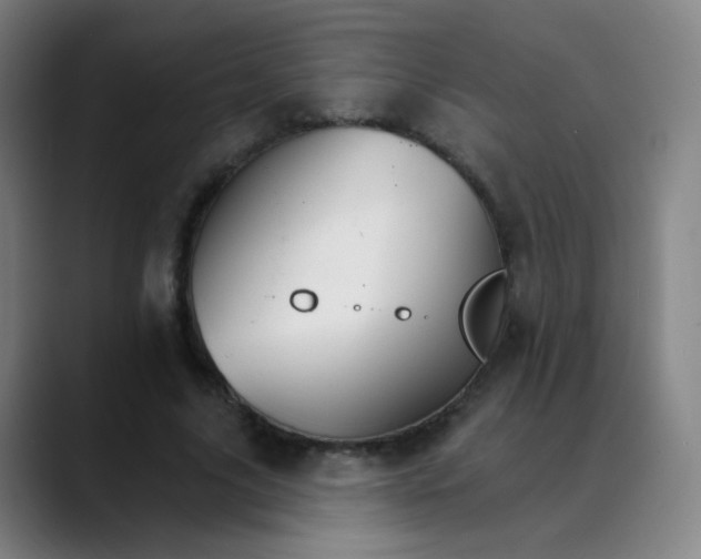 X0000089720635200707121431