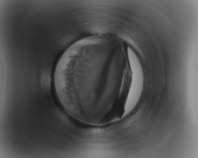 X0000089720637200707121431